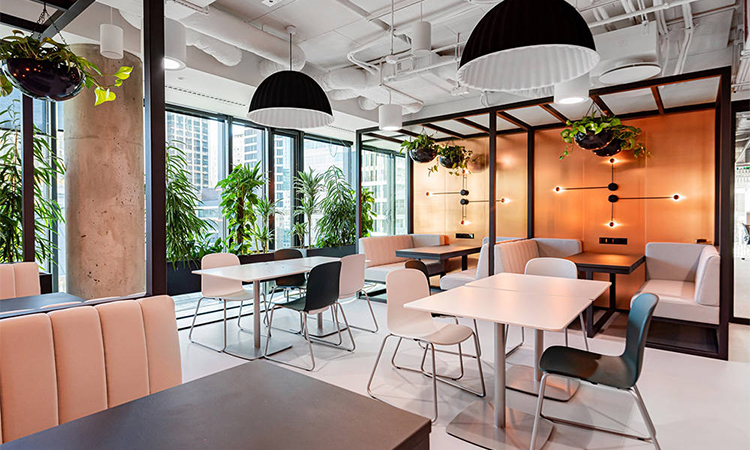 上海辦公室裝修怎么選綠植，既能凈化空氣又能旺風(fēng)水？